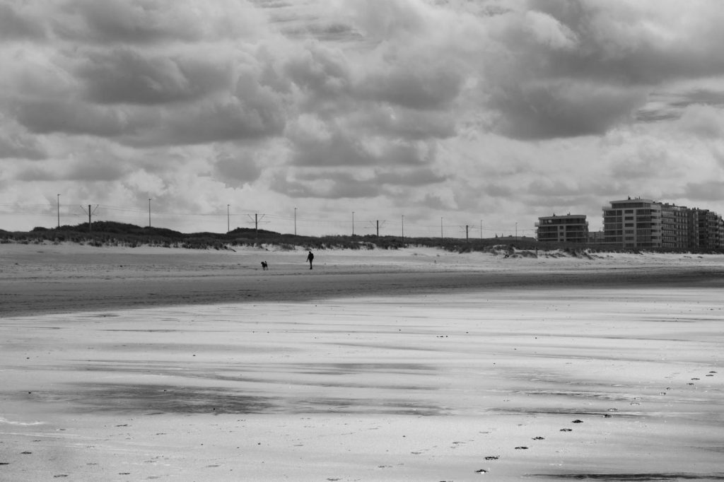 Leo Express планує запуск нічного поїзда до&nbsp;Остенде/Бельгія