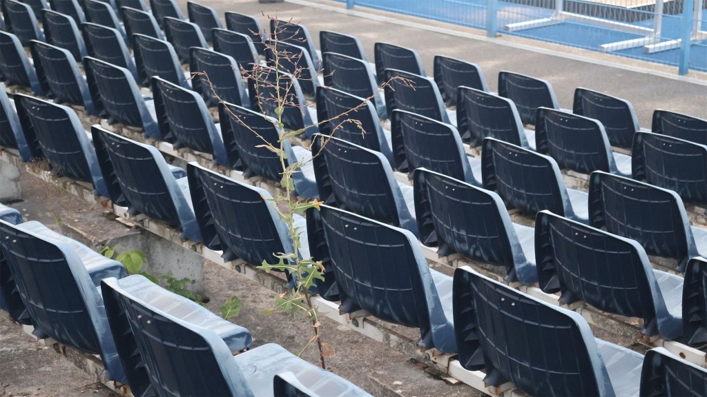 25.07.2026 Zawisza Bydgoszcz vs. Sokół&nbsp;Kleczew